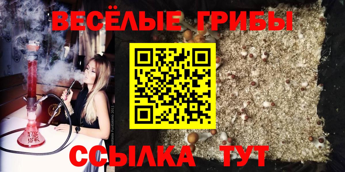 Ханты-Мансийск  Псилоцибиновые грибы прущие грибы  Вход с VPN  Псилоцибиновые грибы Psilocybine cubensis 