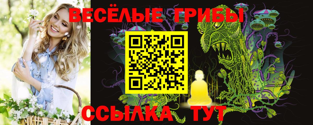 Псилоцибиновые грибы GOLDEN TEACHER Ханты-Мансийск